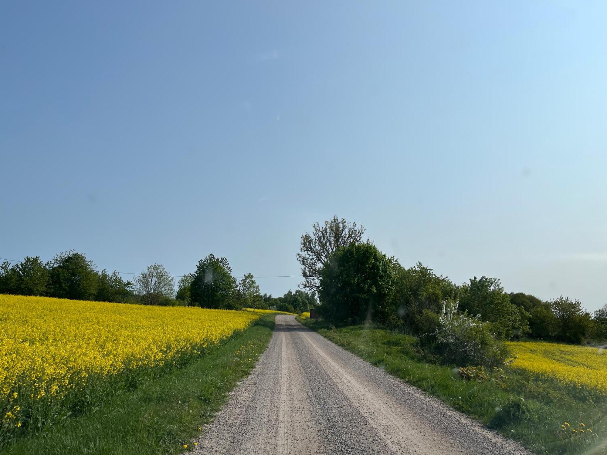 Lavendeltorpet Panzió Haggum Kültér fotó